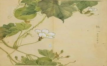 氓心得体会1500字优秀8篇