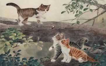 我爱大熊猫的作文7篇