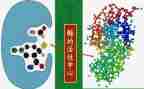 酶的调研报告优秀6篇