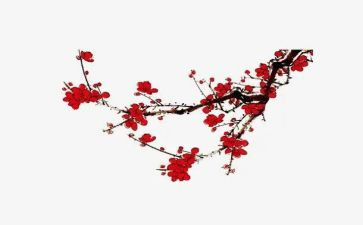 腊梅花读后感600字6篇
