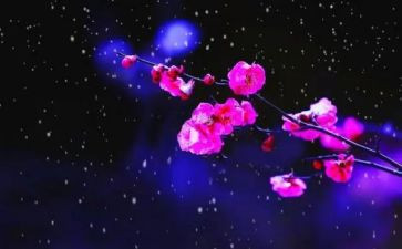 梅花香作文6篇