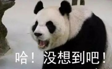 没想到作文500字6篇