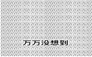 没想到作文500字优质5篇
