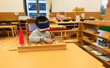 蒙氏老师个人年度工作总结模板6篇