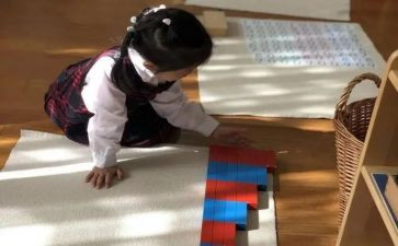幼儿园中班蒙氏教案5篇