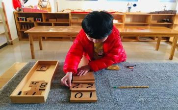 蒙氏生活课教案精选8篇
