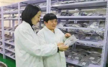 蒙医学习心得体会精选6篇