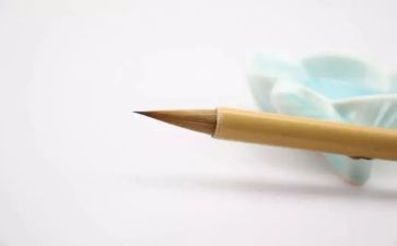 网络防沉迷演讲稿6篇