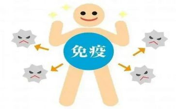 免疫的心得体会6篇