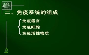 区免疫规划工作总结7篇