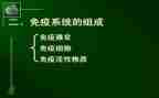 区免疫规划工作总结7篇