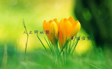 名人传读后心得7篇