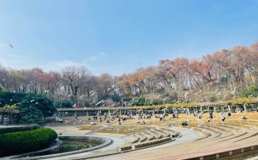 我游览过的风景名胜作文5篇