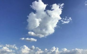 我明天要作文精选5篇
