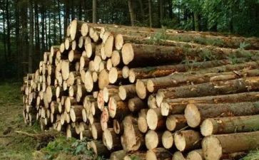 木材买卖合同8篇