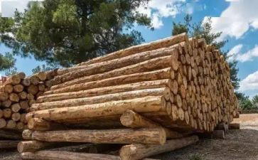 木材运输合同5篇