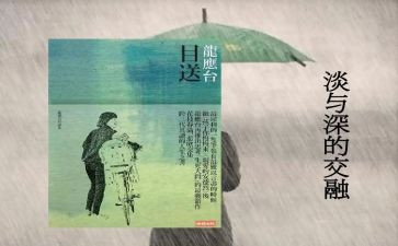 《目送》目送读后感精选7篇
