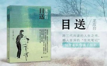 目送读书心得8篇