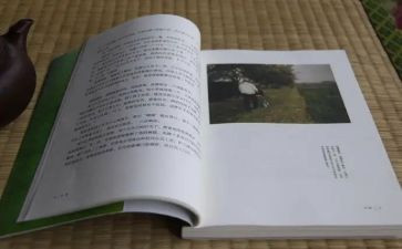 《目送》心得体会6篇