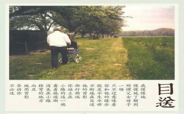 读目送心得体会8篇