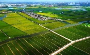 2024年农业保险工作总结5篇