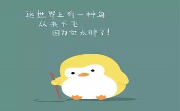 胖五归来的心得体会8篇