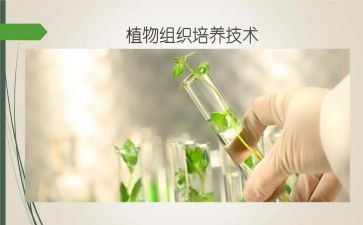 培养对象培训总结7篇