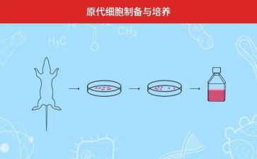 三向培养心得体会通用5篇