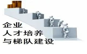 小学培养青年教师工作总结8篇