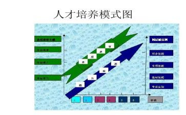 青教培养心得体会8篇