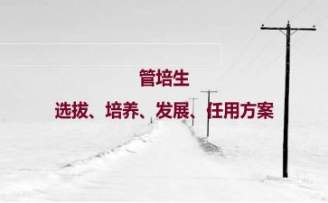 t型人才培养心得体会8篇