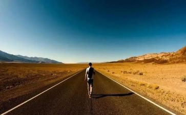 这不平凡的2024年作文优秀8篇