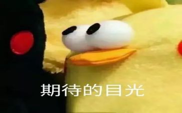 我期待初中作文7篇