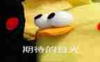 我期待初中作文7篇