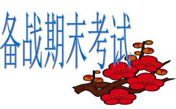 数学老师期末工作总结5篇