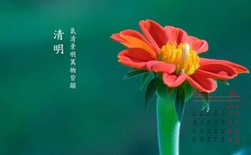 清明节祭奠先烈心得体会500字7篇