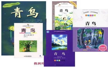 青鸟心得体会250精选8篇