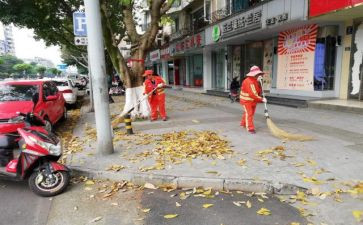 清扫活动的心得体会6篇