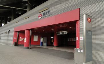 竞选青站演讲稿推荐6篇