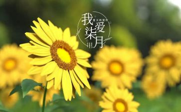 幼儿园七月份工作计划5篇
