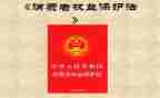 权益活动总结5篇