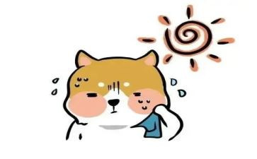 中班科学冷与热教案通用6篇