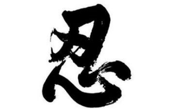 零容忍二观后感心得体会6篇