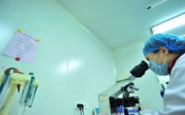 劳动委员个人工作总结7篇