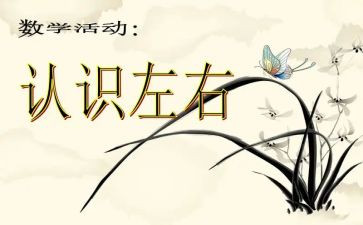 认识团的历史心得体会6篇