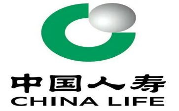 对人寿保险的心得体会6篇