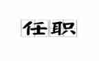 教师个人任职以来工作总结8篇