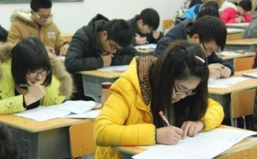 教师入编述职报告8篇