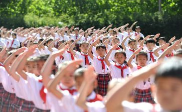 入队活动策划方案7篇