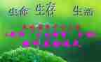 高三生物下学期工作总结7篇
